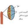 اثر پوشش دار کردن به روش مکش در خوراک جوجه های گوشتی